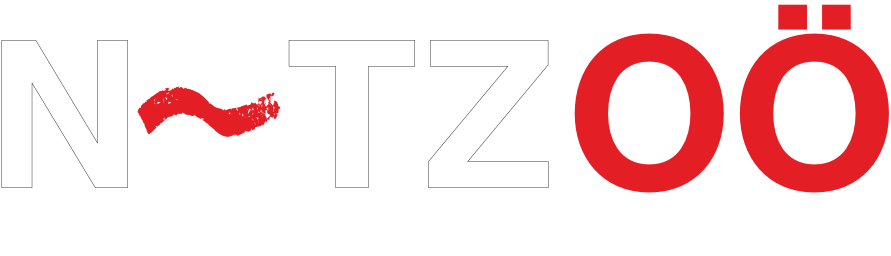 Netz OÖ eService